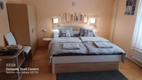 Apartmán 81